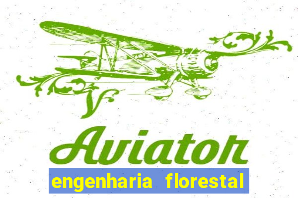 engenharia florestal ead cruzeiro do sul